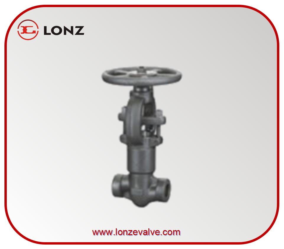 forged a105 Self sealing high pressure globe valve